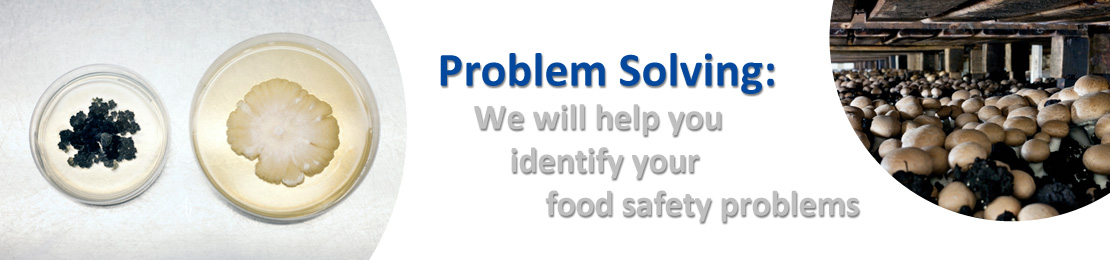 Problem Solving: We will help you identify your food safety problem