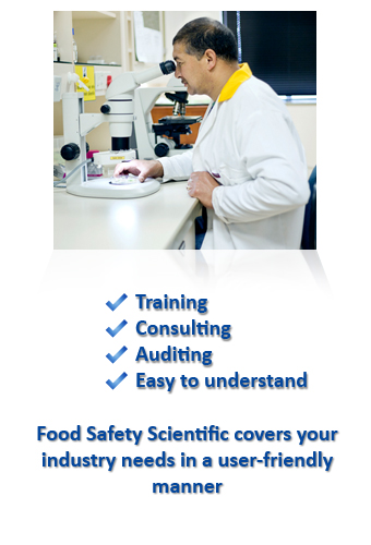 Training, Consulting, Auditing, Easy to Understand